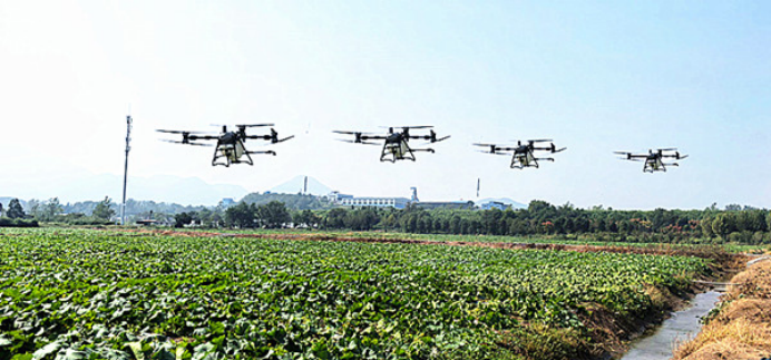 湖北省大冶市農(nóng)發(fā)集團:無人機編隊上崗 科技賦能智慧農(nóng)業(yè)172.png