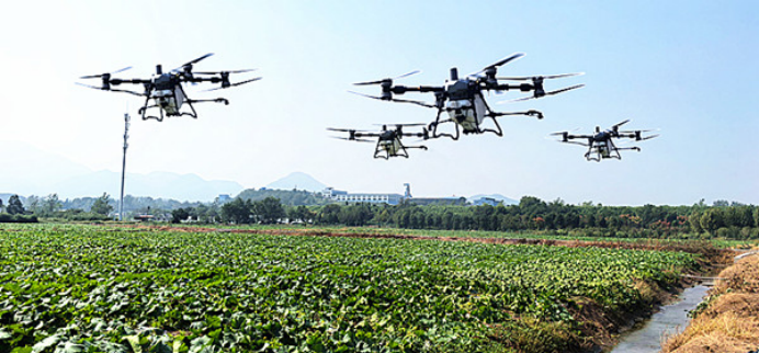 湖北省大冶市農(nóng)發(fā)集團:無人機編隊上崗 科技賦能智慧農(nóng)業(yè)581.png