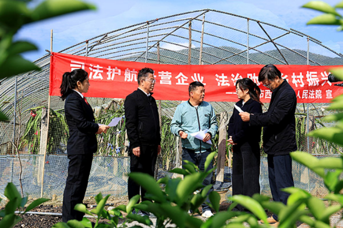 黃石市西塞山區(qū):果園里的“解紛會診” 司法護(hù)航鄉(xiāng)村振興211.png