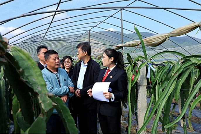 黃石市西塞山區(qū):果園里的“解紛會診” 司法護(hù)航鄉(xiāng)村振興1094.png