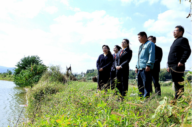 黃石市西塞山區(qū):果園里的“解紛會診” 司法護(hù)航鄉(xiāng)村振興334.png