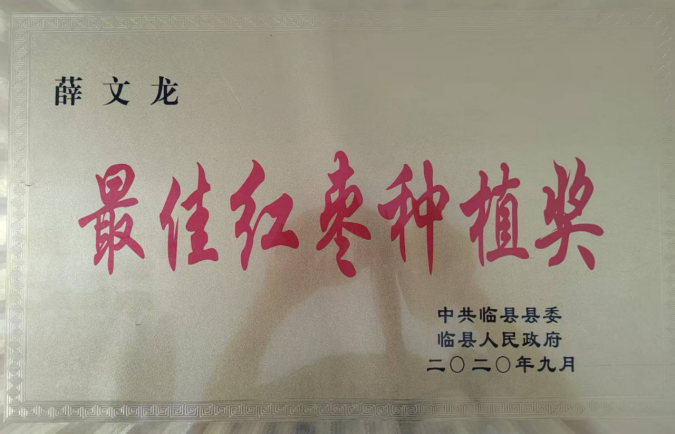 呂梁山下棗林煥新 農(nóng)旅融合鋪就新程 ——山西臨縣鄉(xiāng)村振興的“古棗密碼” 《中華英才》半月刊網(wǎng)山西訊(張振華)361.png