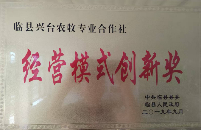 呂梁山下棗林煥新 農(nóng)旅融合鋪就新程 ——山西臨縣鄉(xiāng)村振興的“古棗密碼” 《中華英才》半月刊網(wǎng)山西訊(張振華)362.png