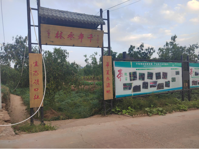 呂梁山下棗林煥新 農(nóng)旅融合鋪就新程 ——山西臨縣鄉(xiāng)村振興的“古棗密碼” 《中華英才》半月刊網(wǎng)山西訊(張振華)208.png