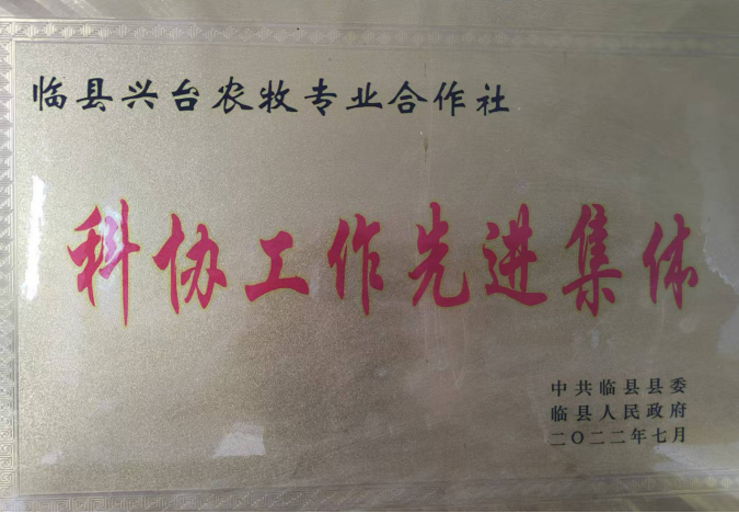 呂梁山下棗林煥新 農(nóng)旅融合鋪就新程 ——山西臨縣鄉(xiāng)村振興的“古棗密碼” 《中華英才》半月刊網(wǎng)山西訊(張振華)563.png