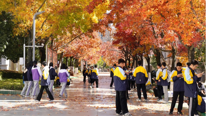 手牽手譜寫教育強(qiáng)國建設(shè)嶄新篇章 心連心培603.png