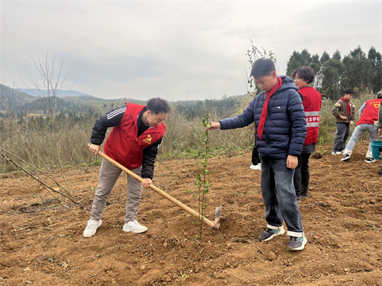 1773304146191976.png 圖片6.png