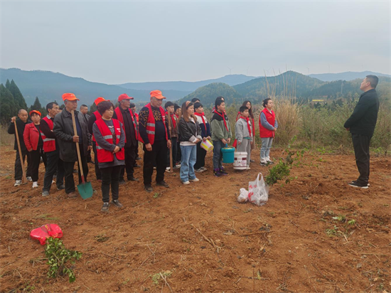 1773304142947067.png 圖片1.png