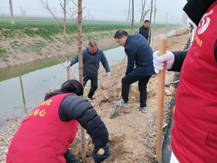 濱淮鎮(zhèn)掀起全民義務(wù)植樹(shù)熱潮594.png